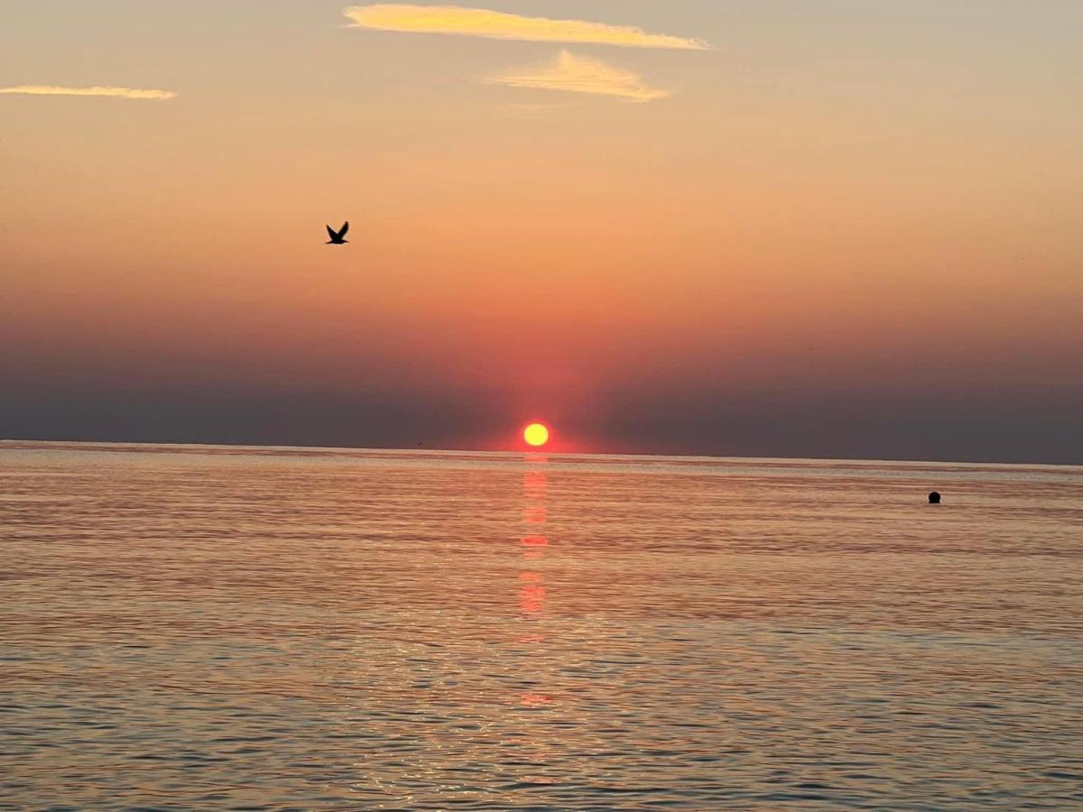 Complex Relax Pomorie All Inclusive Eksteriør billede